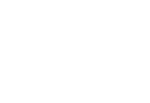 The Orlando Roofing Company Logo